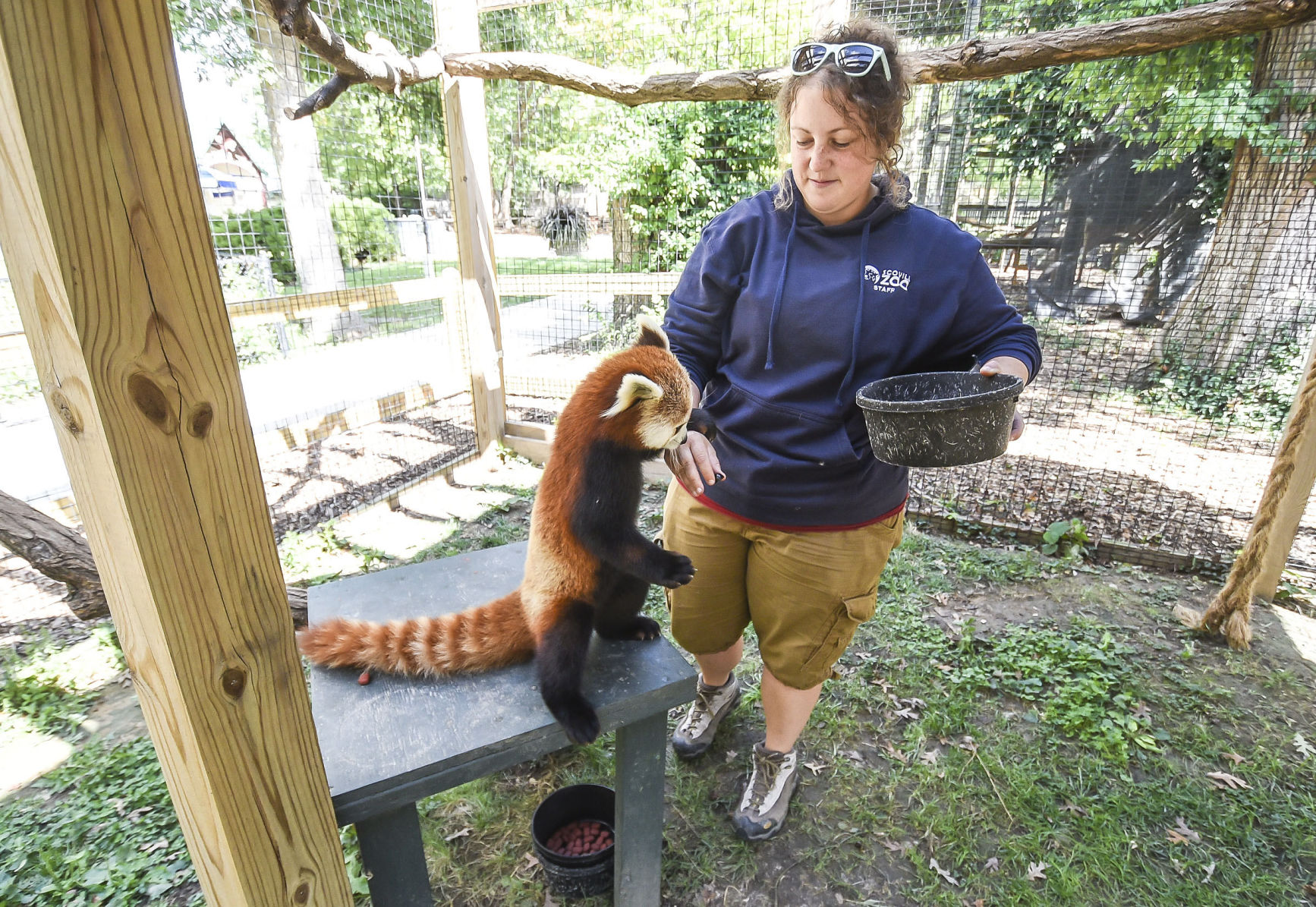 2017: Scovill Zoo Animals